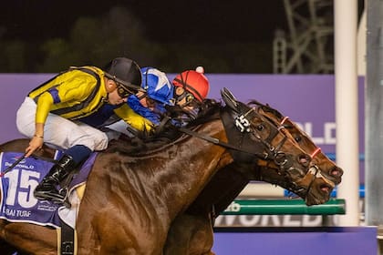 Lord North (IRE) y Panthalassa (JPN) hicieron puesta en la Dubai Turf (G1), con Vin de Garde (JPN) al hocico, en el tercer lugar; fue el mejor final de la jornada