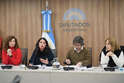 Lorena Pokoik, presidente de la Comisión de Cultura, durante el debate