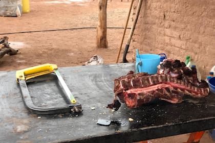 Lorena se las arregla como puede para darle de comer a sus hijos