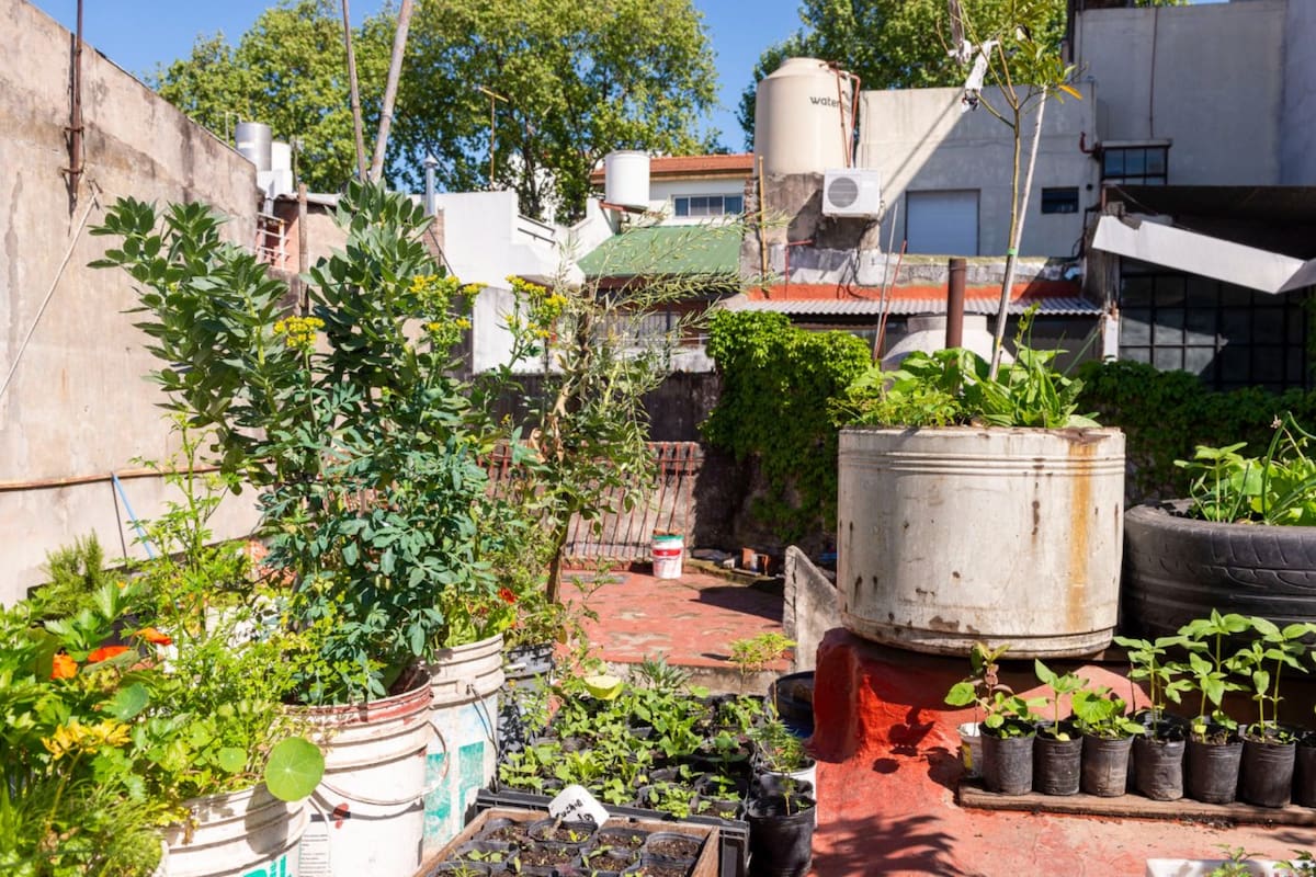 Lorena Tanferna, técnica del Programa ProHuerta, explicó que la producción de alimentos en la ciudad favorece el uso eficiente del agua, la energía y el suelo y ayuda a ahorrar energía