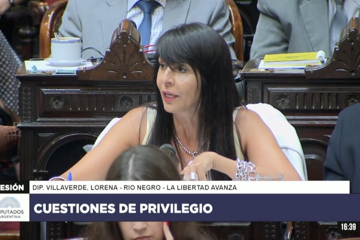 Lorena Villaverde, en la Cámara de Diputados