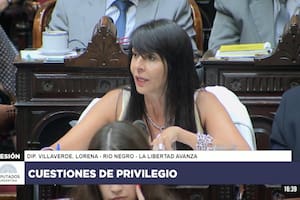 Lorena Villaverde, en la Cámara de Diputados