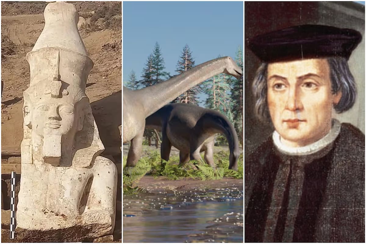 Los 10 hallazgos que revolucionaron el 2024: esculturas egipcias, la verdad sobre Cristóbal y fósiles de dinosaurios únicos