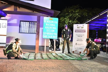 Los 102 kilos de cocaína secuestrados en Salta