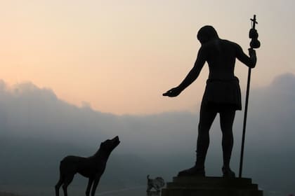 Los 16 de agosto son el día de San Roque, patrono de las mascotas, los perros y los enfermos