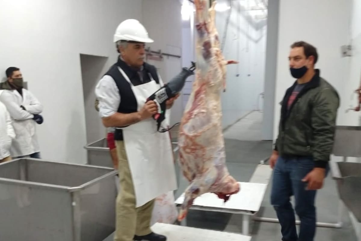 Los 28 productores que conforman la cooperativa reflotaron el viejo frigorífico de Gobernador Mansilla, en Entre Ríos, para dar valor agregado a la producción
