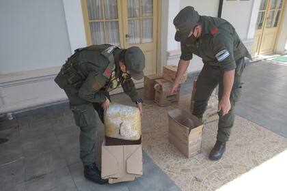 Los 30 kilos de marihuana fueron detectados en Reconquista, gracias al olfato del perro Patón de Gendarmería