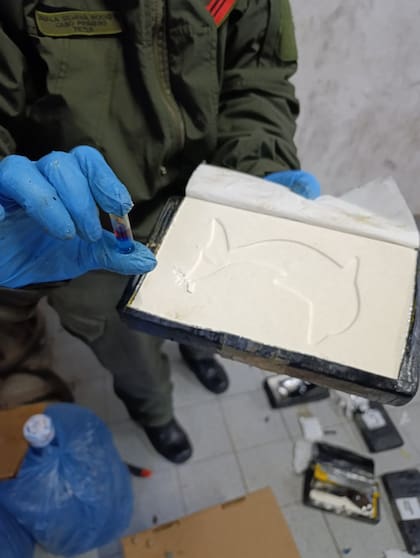 Los 54 kilos de cocaína decomisados en Salta estaban marcados con el logo de un delfín