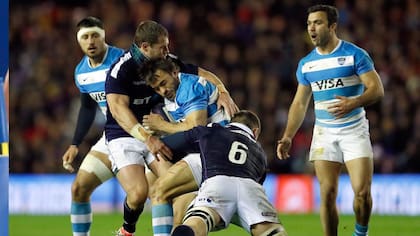 Los Pumas