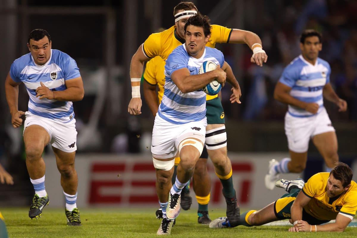 Los Pumas.