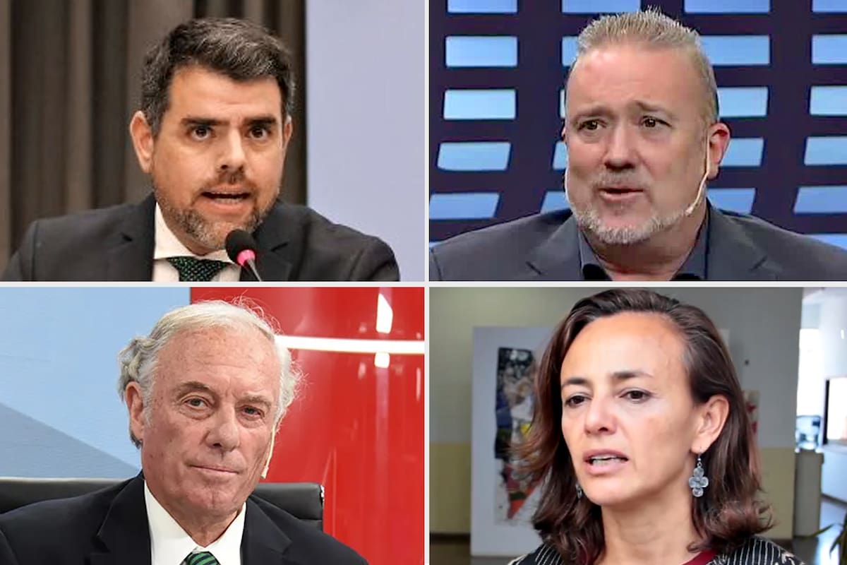 Los abogados constitucionalistas Pedro Caminos, Andrés Gil Domínguez, Antonio María Hernández y Mariela Puga
