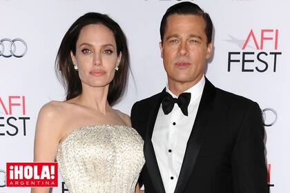 Los abogados del actor denunciaron la venta de la parte de la propiedad que tenía Angelina a un empresario ruso porque sospechan que ella sólo lo hizo para “infligirle daño” a Pitt.