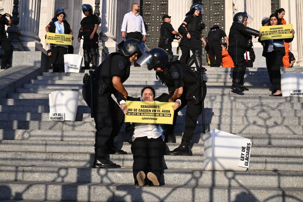 Los activistas de Greenpeace que fueron detenidos esta mañana en Congreso.