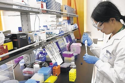 Los activos de propiedad intelectual de Syngenta son una clave de la audaz entrada del grupo chino en la escena. Un laboratorio de Syngenta en Beijing.