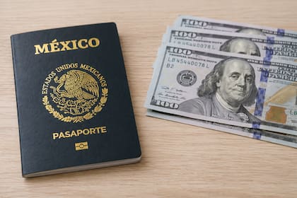 Los adultos mayores de 60 años reciben un descuento del 50%