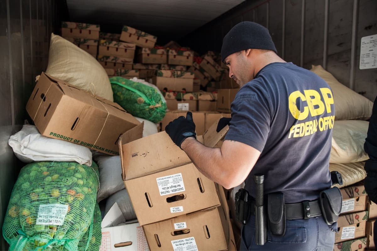 Los agentes de la CBP encontraron el cargamento de bolsos de lujos valuado en casi un millón de dólares en el Aeropuerto Internacional de Newark Liberty