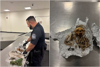 Los agentes de la CBP encontraron restos humanos envueltos en papel aluminio en una inspección de rutina en el aeropuerto de Tampa