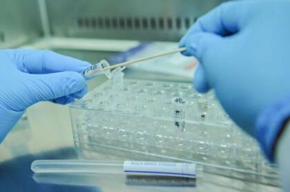 Los agentes Novichok se consideran "armas binarias" porque para que actúen se requiere la combinación de dos ingredientes