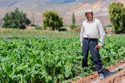 Los agricultores de Maimará