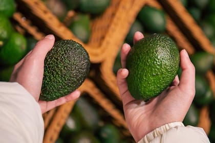 Los aguacates pueden ablandarse dentro de la heladera sin alcanzar la madurez adecuada, según advirtió el chef estadounidense