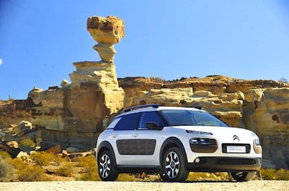 Los Airbumps son una marca registrada del C4 Cactus
