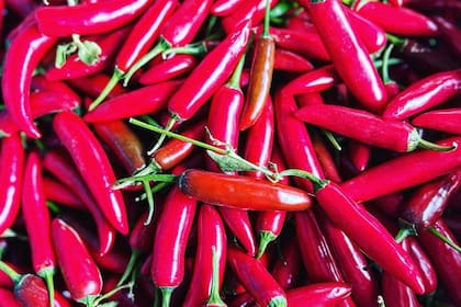 Los ajíes que produce su finca