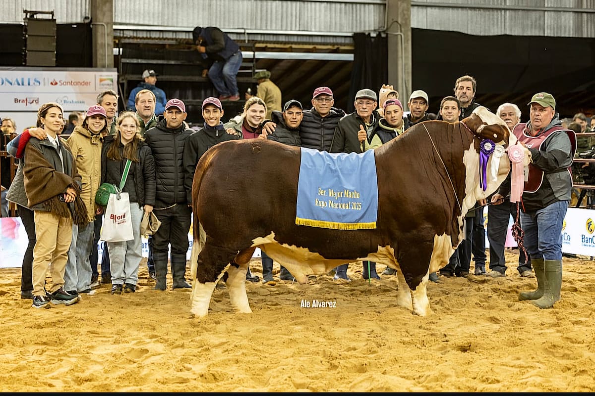 Los Alegre lograron el Tercer toro de la exposición