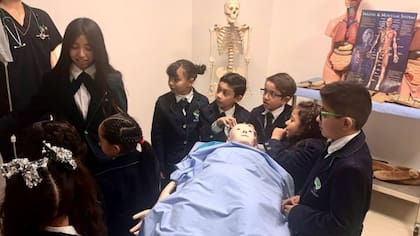 Los alumnos aprenden algunos conocimientos de medicina en el centro