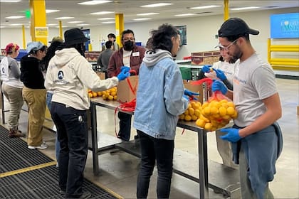 Los alumnos participantes reciben US$10.000 por prestar servicio comunitario en distintas áreas
