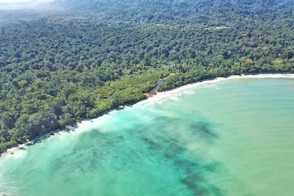 Los amantes de la naturaleza disfrutarán de una variedad de atractivos en Limón, Costa Rica