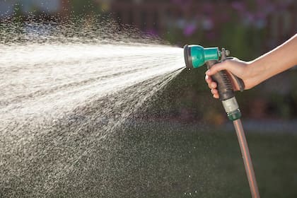 Los aminoácidos pueden aplicarse con el agua del riego