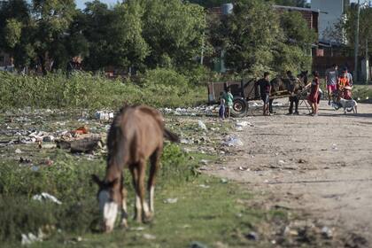 Los analistas advierten que la situación quedó agravada por la cuarentena; qué medidas podrían ayudar a la población vulnerable