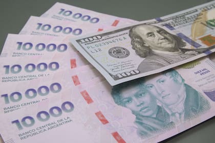 Los analistas precisan que a la hora de invertir no se trata de elegir entre pesos y dólares, sino de saber combinarlos inteligentemente