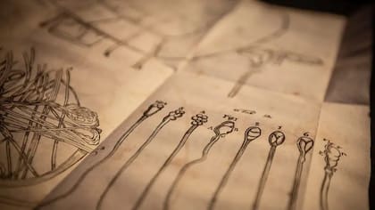 Los animálculos que descubrió Leeuwenhoek, dibujados en la carta que le envió a la Royal Society