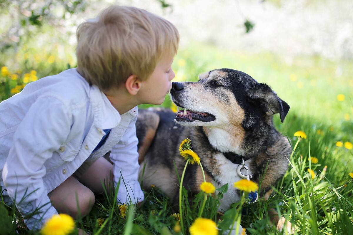 Los animales brindan amor incondicional y actúan desde un lugar de apoyo sin prejuicios