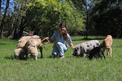 Los animales de la granja que tiene en la isla donde se encuentra el quirófano