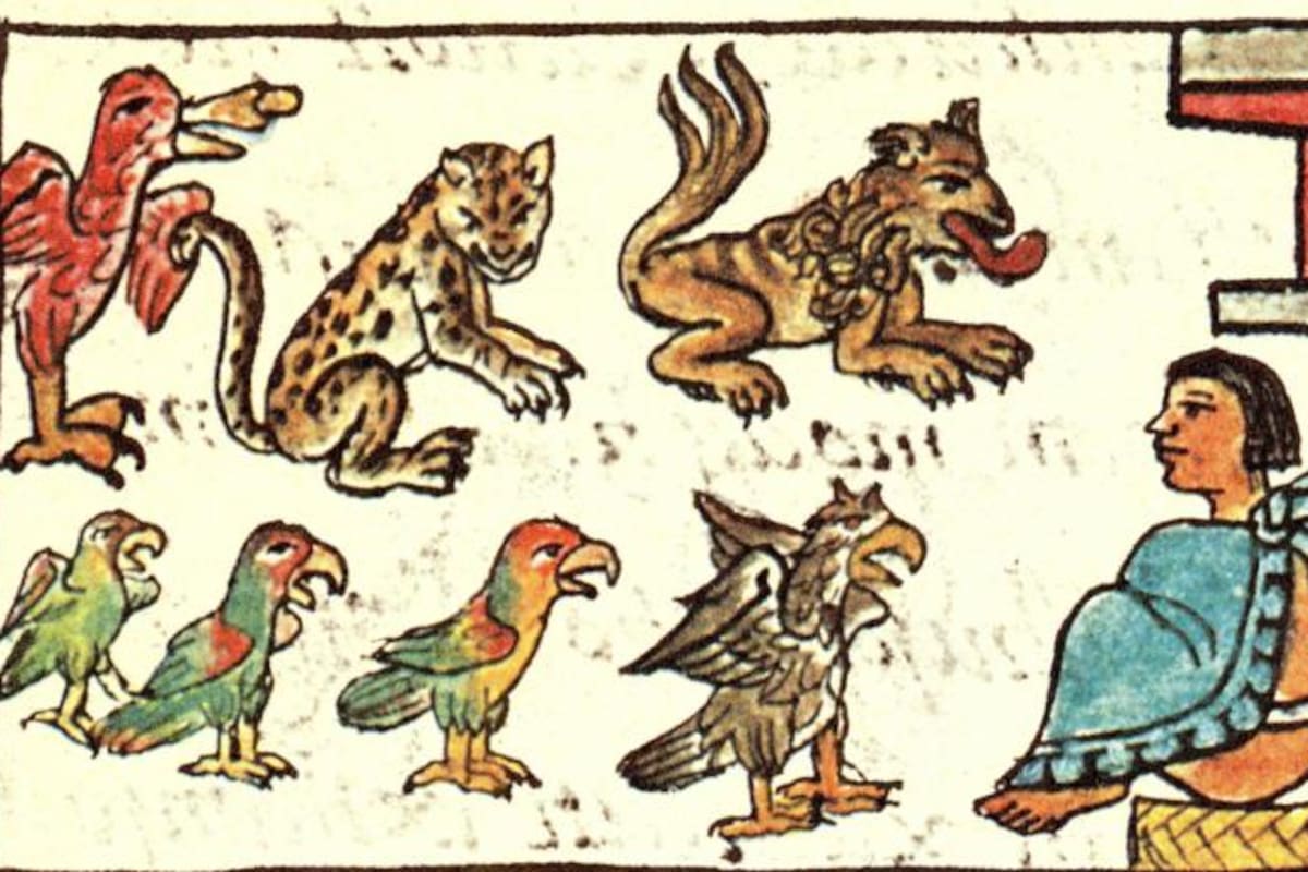 Los animales eran parte importante de la relación de los mexicas (o aztecas) con el universo.