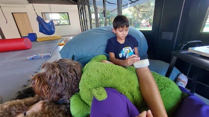 “Los animales están especialmente educados para formar parte del tratamiento y su intervención tiene como finalidad ayudar al profesional de la salud a mejorar las funciones físicas, sociales, emocionales y cognitivas de los pacientes".