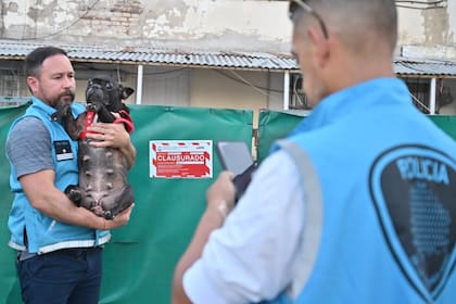 Los animales se encontraban en condiciones de hacinamiento