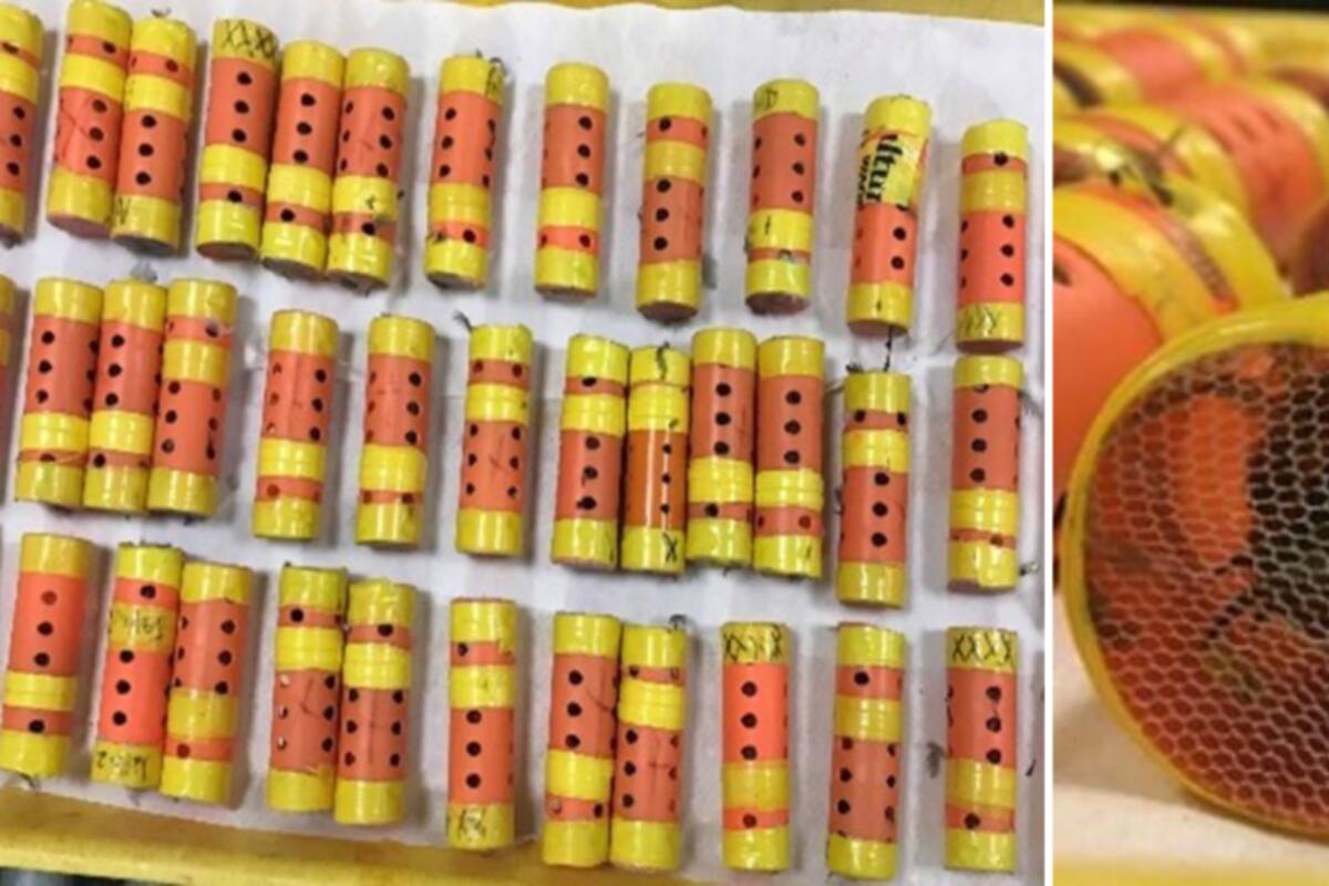 Los animales viajaron dentro de ruleros para pelo