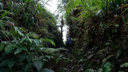 Los antiguos habitantes moldearon el barro para crear miles de plataformas de tierra compactada - Sofia Quaglia