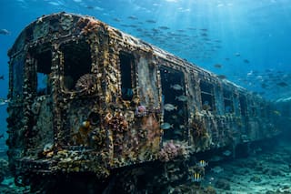 Los lanzaron al mar en 2001 y ahora son miles de vagones que albergan vida marina
