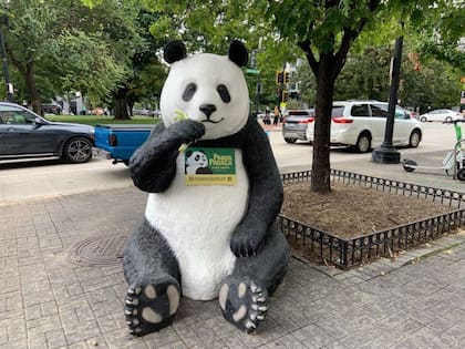 Los anuncios sobre el “Panda Palooza” se difundieron por la capital estadounidense, donde los pandas han sido la principal atracción del zoológico durante más de medio siglo