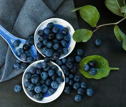 Los arándanos están llenos de nutrientes que promueven la salud cerebral (Foto ilustrativa: PIXABAY)
