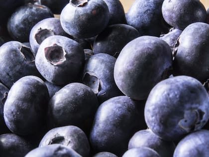 Los arándanos, por su parte, ayudan a reducir el estrés oxidativo.