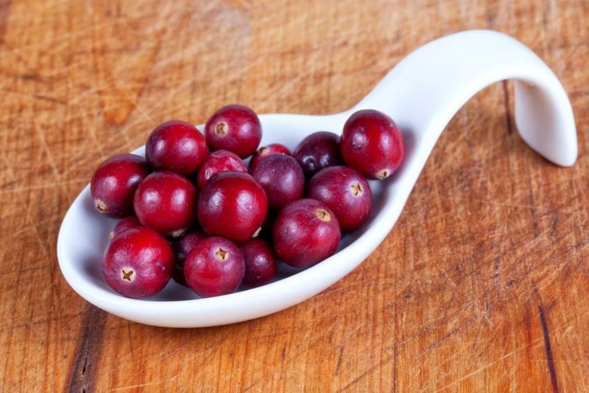 Los arándanos rojos aumentan la velocidad para procesar la información en el cerebro (Foto: Pixabay)