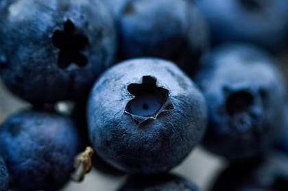 Los arándanos son muy ricos en antioxidantes, directamente vinculados con la memoria corto plazo