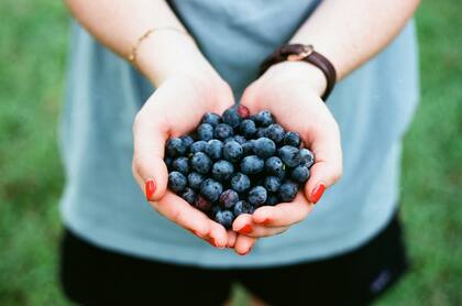 Los arándonos son ricas en vitaminas, minerales y nutrientes