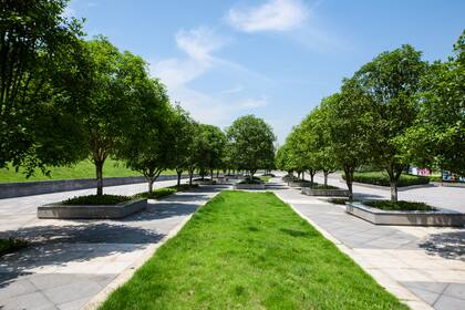 Los árboles de los parques en la ciudad también proveen un entorno adecuado para la práctica