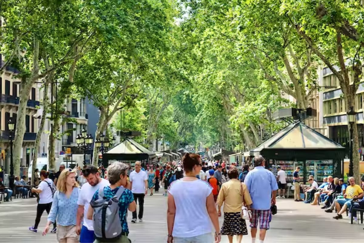 Los árboles proporcionan un enfriamiento que puede reducir las altas temperaturas en las ciudades